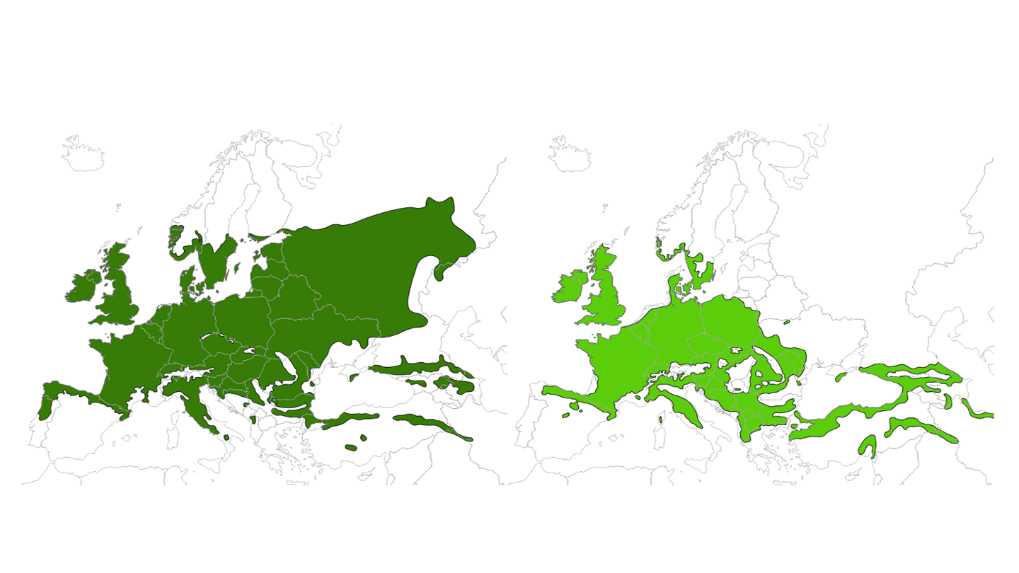 Two maps showing Europe with some parts in two shades of green.