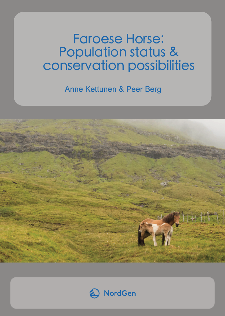Faroese Horse: Population status & conservation possibilities