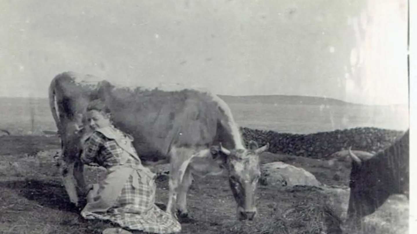 Old black and white photo of a woman milking a cow.