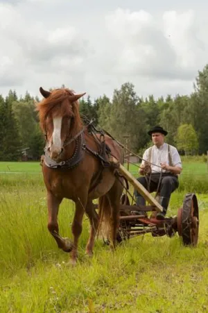 Mies perinteisissä vaatteissa ratsastaa hevosella ja kärryillä.