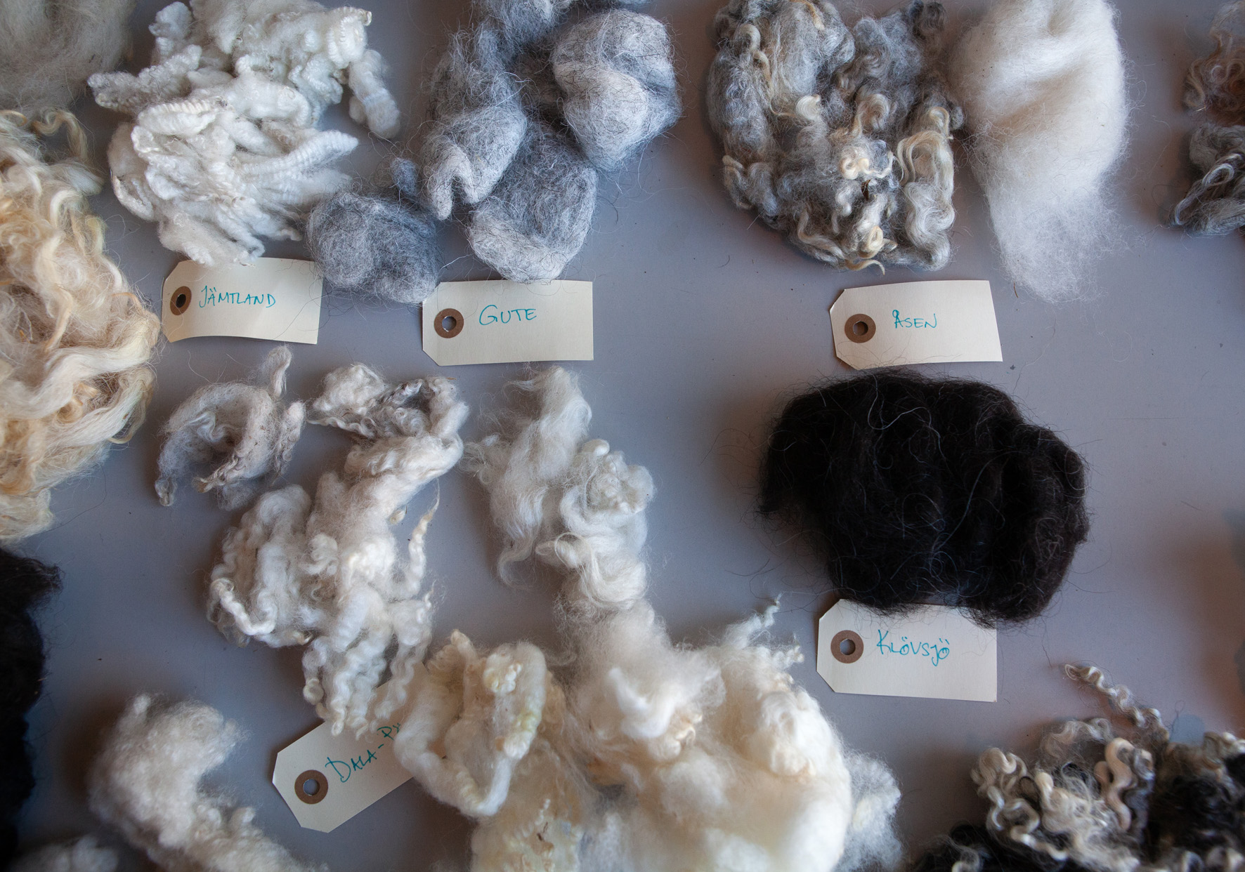 Different kinds of wool 