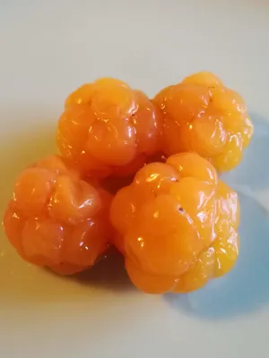 Close up of four orange berries. 