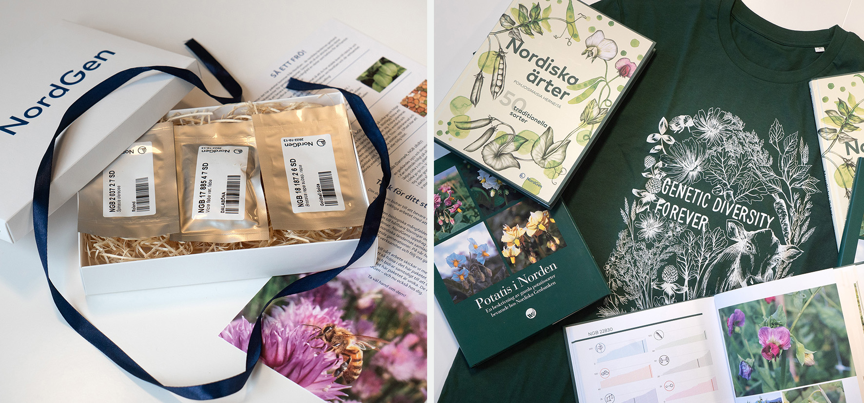 Collage showing a gift box, books and a t-shirt. 