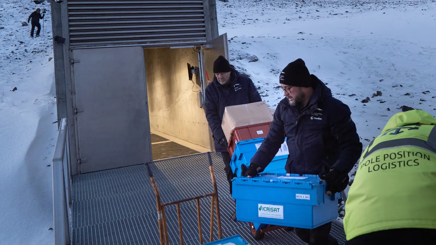 Two men carries boxes.