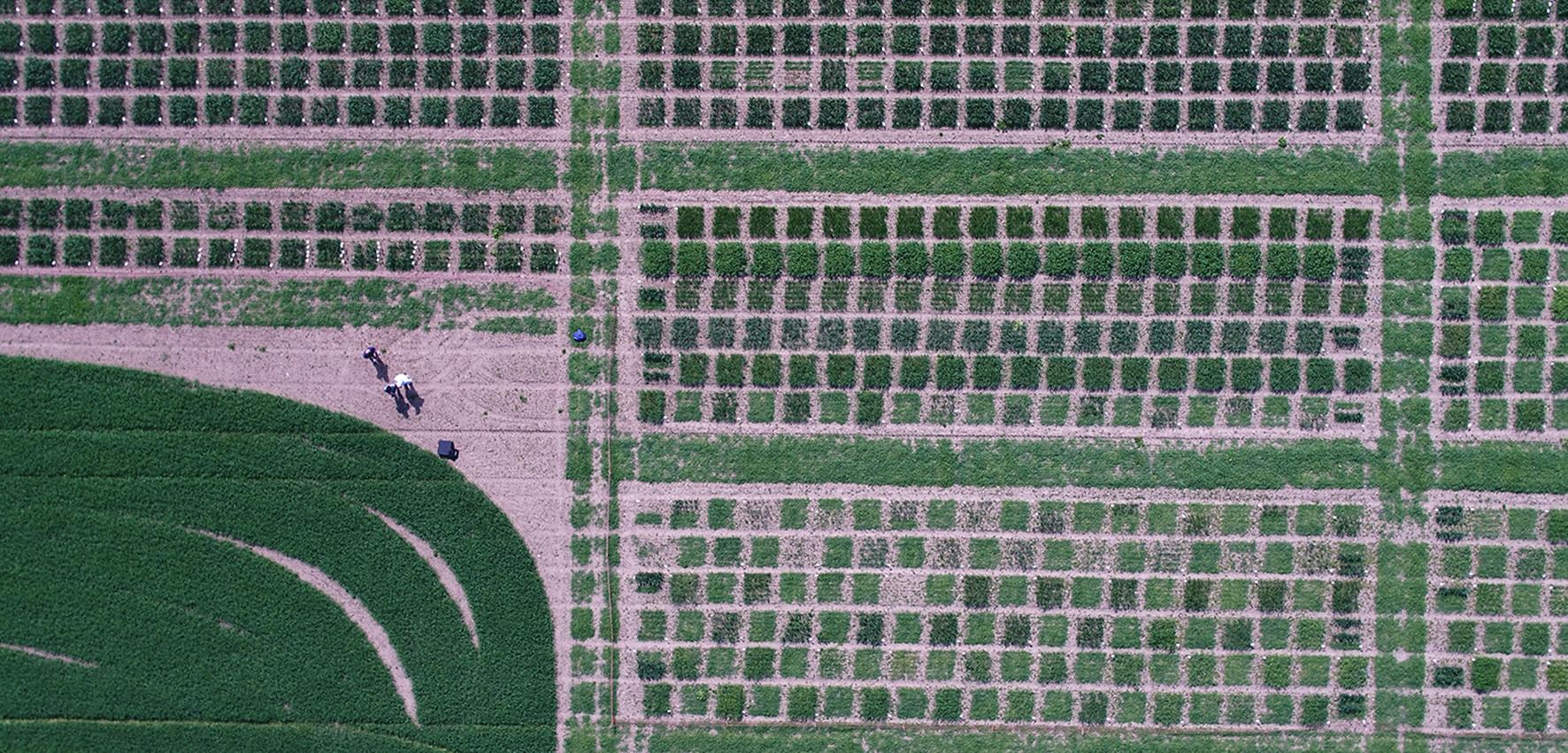 Cultivation field divided into many parcels, seen from above. 