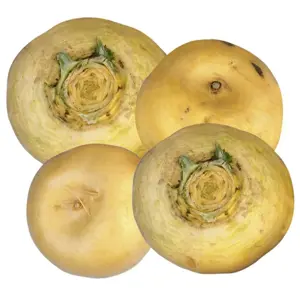 Yellow turnips.