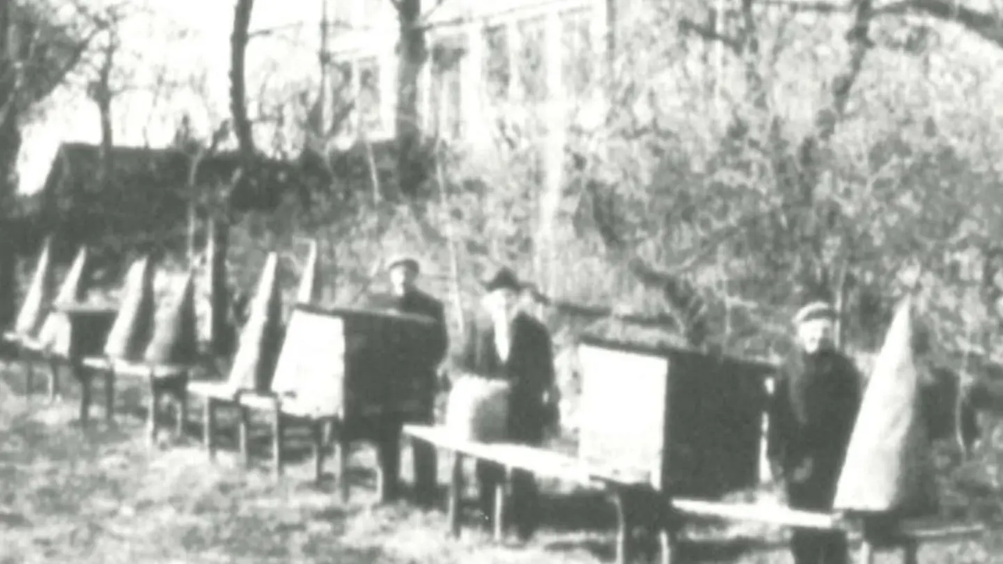 Old black and white photo of beehives.